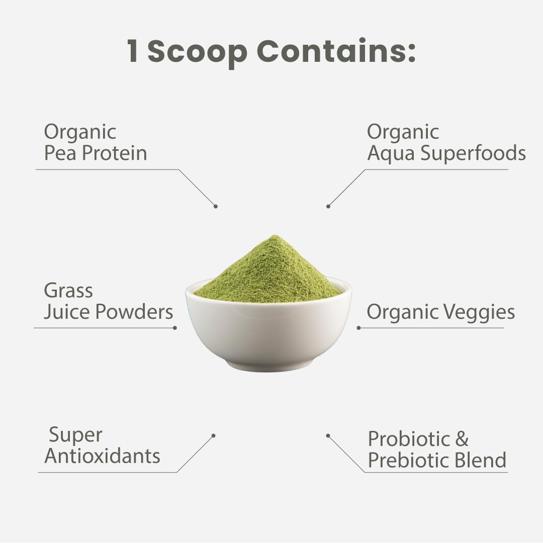 Pre-Order | Arrives in 5–10 Days – Paradise Herbs ORAC Energy Protein & Greens Powder, Antioxidant Power of 24 Servings of Fruits & Vegetables in 1 Scoop + 20g Protein, Unflavored, 15 Servings