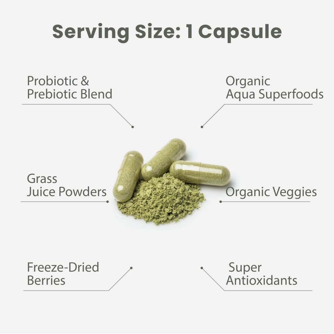 Pre-Order | Arrives in 5–10 Days – Paradise Herbs Earth's Blend Women's Once Daily Multivitamin with Iron, 48 Organic Superfoods, Probiotics, Antioxidants, Vitamins A, B12, C, D, K2, 120 Capsules