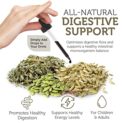 Pre-Order | Arrives in 5–10 Days – Zahler - ParaGuard Cleanse Liquid Drops - Gut Health Detox Supplement - Formula has Wormwood, Garlic Bulb, Pumpkin Seed, Clove & More - Natural Cleanse Detox for Humans - Certified Kosher (4 Oz)