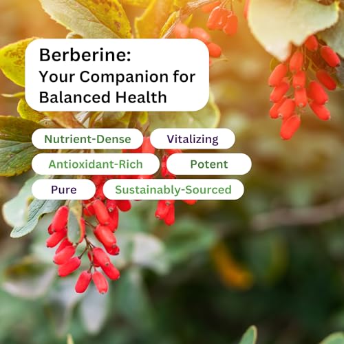 Pre-Order | Arrives in 5–10 Days – Paradise Herbs, Berberine Extract, 500 mg, Pure & Potent Berberine Supplement, Vegan, Non GMO, Gluten Free, 180
