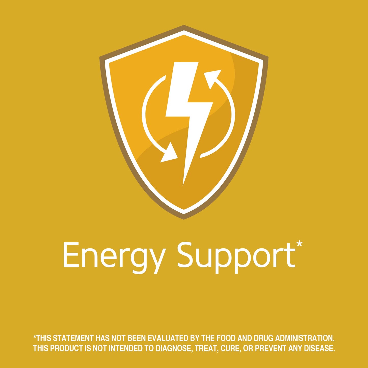 Pre-Order | Arrives in 5–10 Days – 21st Century B-1 Tablets, 100 Mg, 110 Count (Pack of 12)