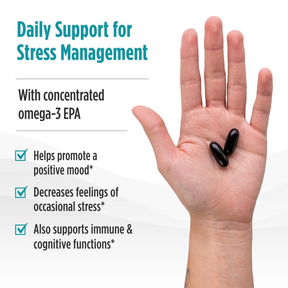 Pre-Order | Arrives in 5–10 Days – Nordic Naturals Mood Support Omega Blend - Unflavored - 60 Soft Gels - 1400 mg Omega-3 Supplement with EPA & DHA - Promotes Balanced Mood and Serenity - Non-GMO - 30 Servings