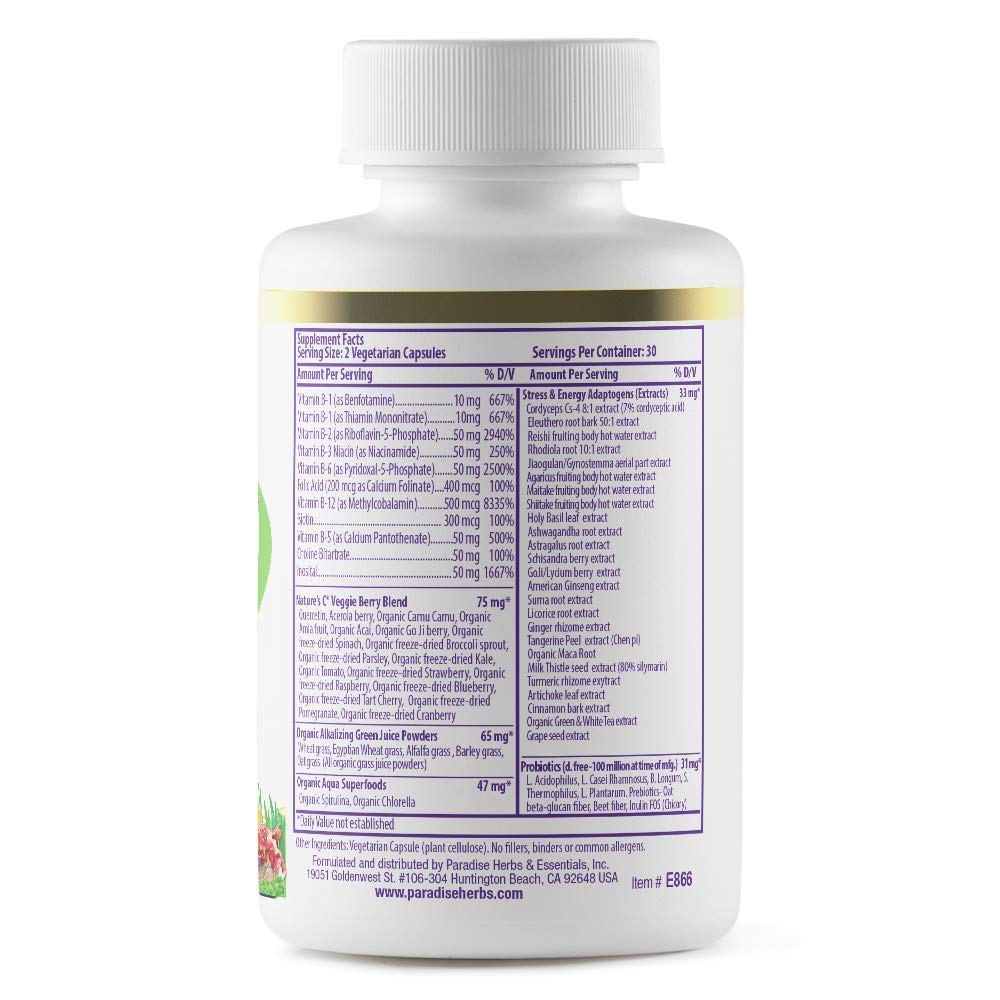 Pre-Order | Arrives in 5–10 Days – Paradise Herbs, Earth's Blend B-Complex, Methylated, Enzymatically Active Forms of B Vitamins + Superfoods, Supports Energy & Immunity, 60 Capsules