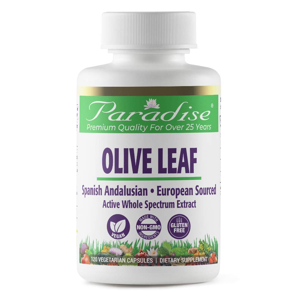 Pre-Order | Arrives in 5–10 Days – Paradise Herbs Olive Leaf Extract from Spanish Andalusian Olive Trees, Super Potent, Ultra Pure, Non-GMO, Vegan, Gluten Free, 120 Vegetarian Capsules