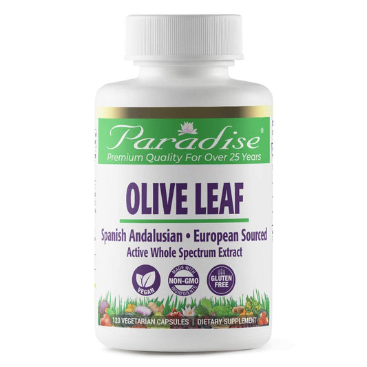 Pre-Order | Arrives in 5–10 Days – Paradise Herbs Olive Leaf Extract from Spanish Andalusian Olive Trees, Super Potent, Ultra Pure, Non-GMO, Vegan, Gluten Free, 120 Vegetarian Capsules