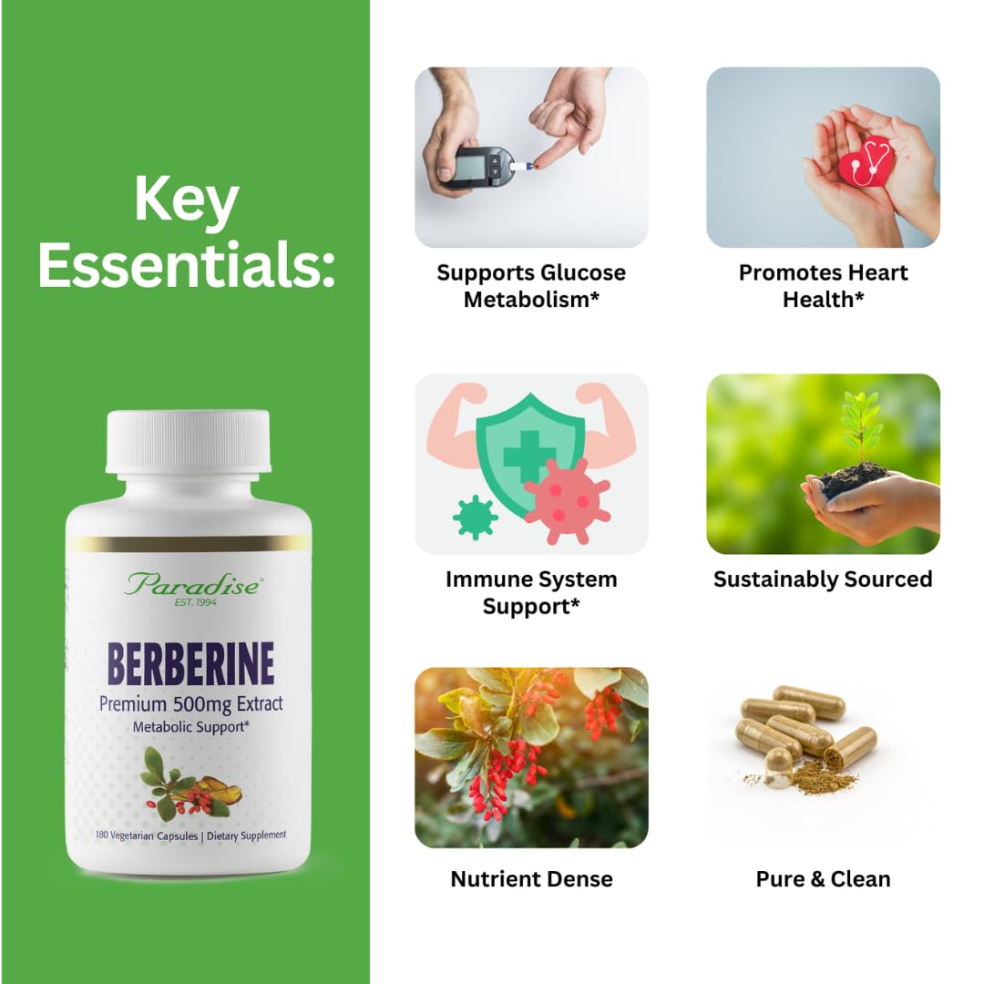 Pre-Order | Arrives in 5–10 Days – Paradise Herbs, Berberine Extract, 500 mg, Pure & Potent Berberine Supplement, Vegan, Non GMO, Gluten Free, 180