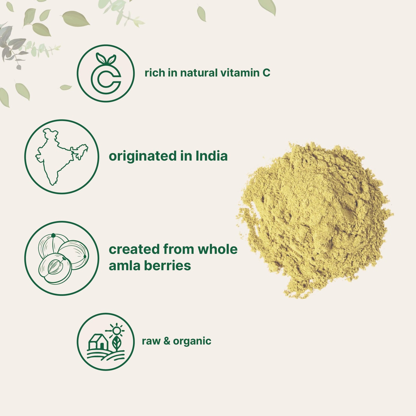 Pre-Order | Arrives in 5–10 Days – Micro Ingredients Organic Amla Powder (Amalaki) | 32oz, India Origin Gooseberry Powder | Rich in Vitamin C, Antioxidants, Supports Immune, Digestive & Skin Health, Non-GMO, Vegan & Keto Friendly