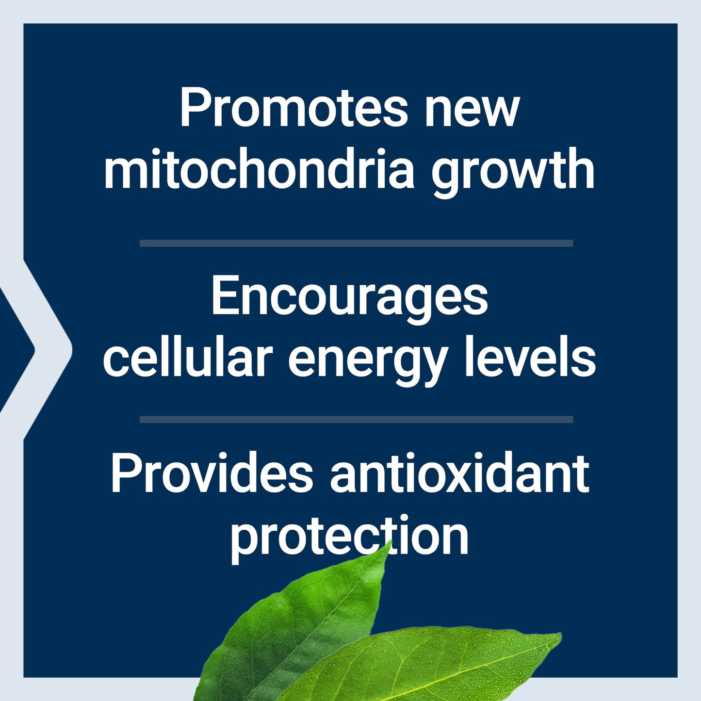 Pre-Order | Arrives in 5–10 Days – Life Extension PQQ Caps – Pyrroloquinoline Quinone, 10 mg – Promotes The Growth of New Mitochondria, ATP, Energy Support – Gluten-Free, Non-GMO, Vegetarian – 30 Capsules