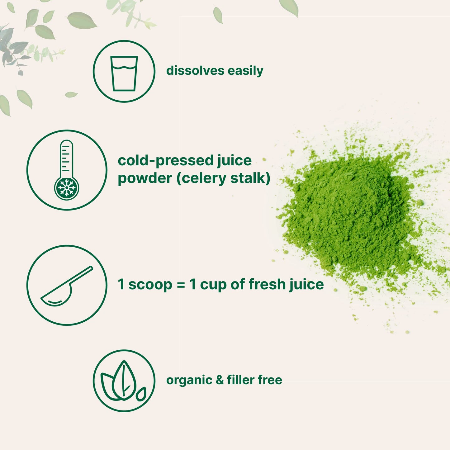 Pre-Order | Arrives in 5–10 Days – Organic Celery Juice Powder, 20 Ounce (1.25 Pound), 70 Serving, Celery Detox and Cold Pressed, Boosts Immune System, Energy and Supports Gut Health, Rich in Immune Vitamin C and Minerals, Vegan