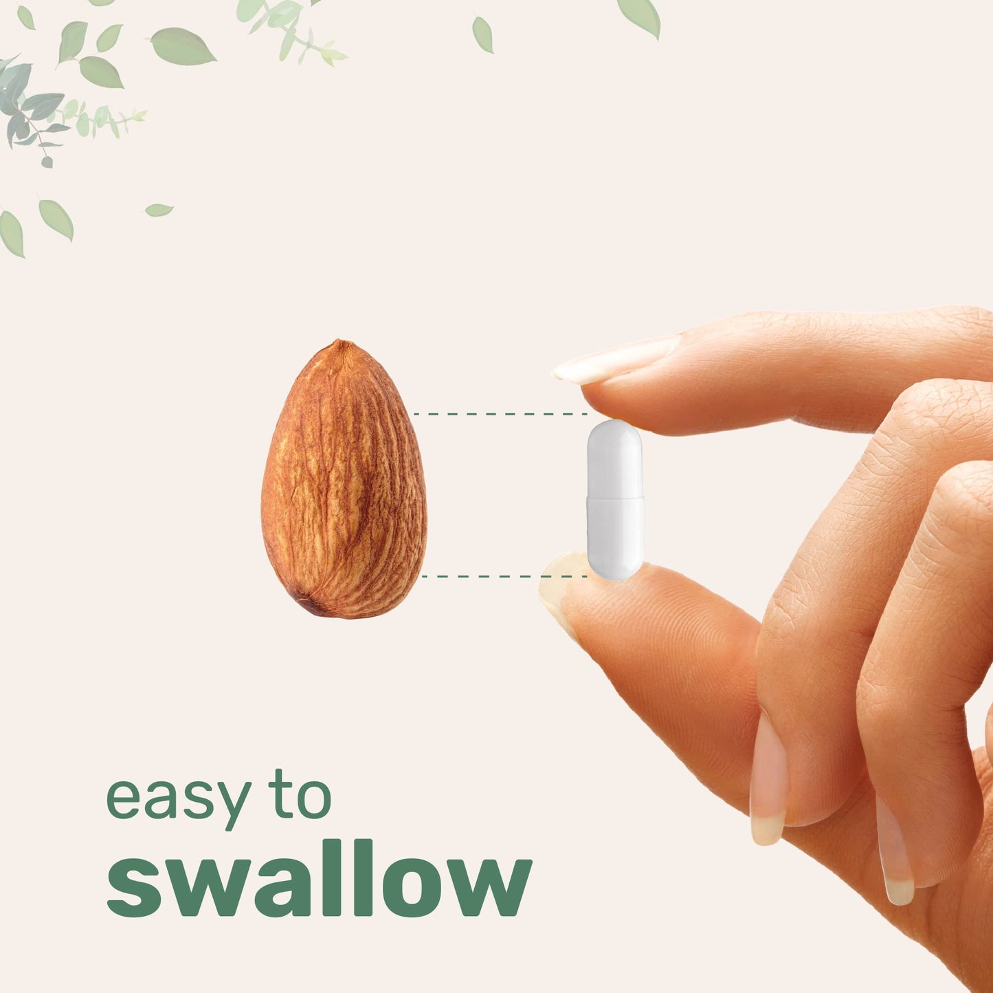 Pre-Order | Arrives in 5–10 Days – Micro Ingredients Pantothenic Acid Vitamin B5 Supplement, Vitamin B5 500mg Per Count, 365 Capsules (1 Year Supply), B-Complex Vitamin, Support Energy Production and Nervous System, Non-GMO