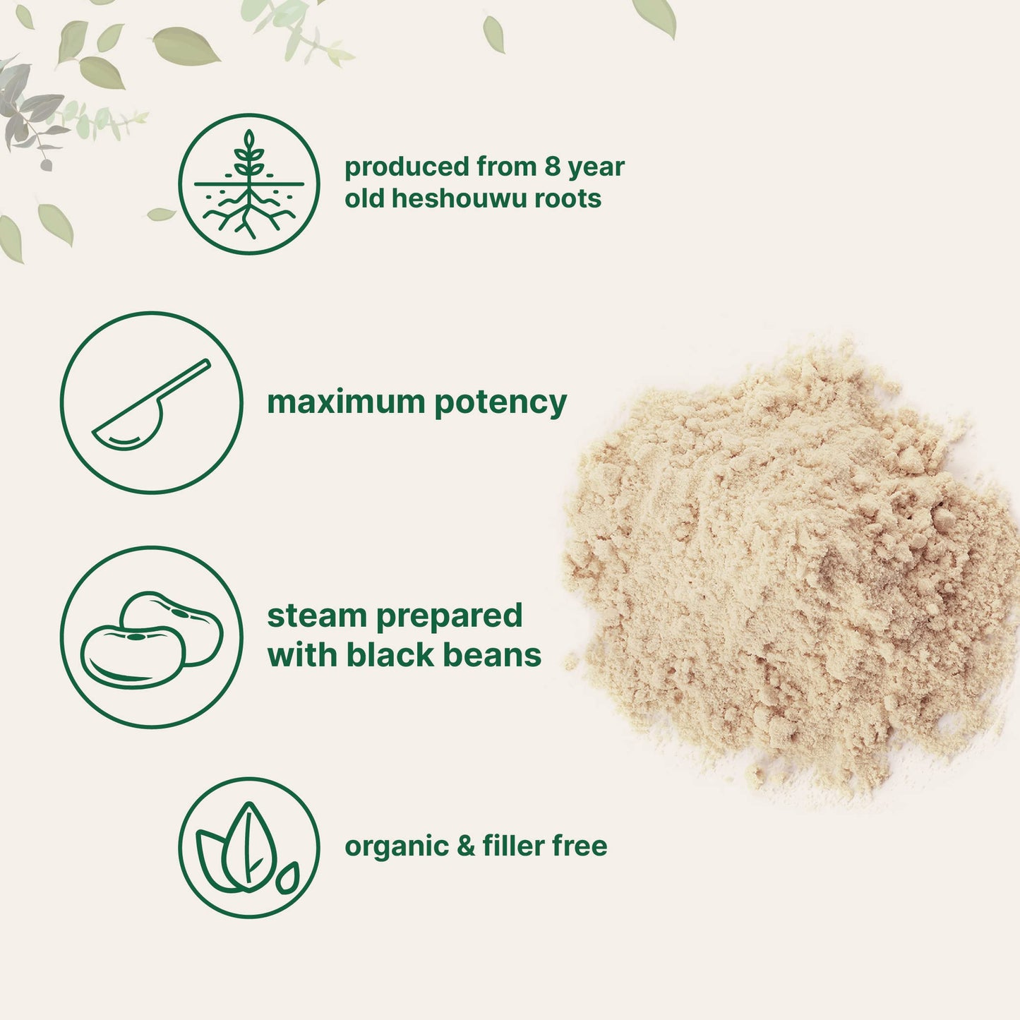 Pre-Order | Arrives in 5–10 Days – Organic He Shou Wu, Pure Fo Ti Extract Powder, 6 Ounce, Prepared Foti Steaming with Black Bean, Traditional Anti Aging Herb, Promotes Hair Health and Antioxidant, Filler Free and No GMOs