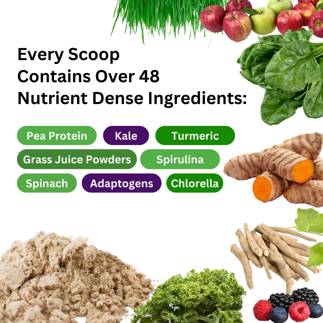 Pre-Order | Arrives in 5–10 Days – Paradise Herbs ORAC Energy Protein & Greens Powder, Antioxidant Power of 24 Servings of Fruits & Vegetables in 1 Scoop + 20g Protein, Unflavored, 15 Servings