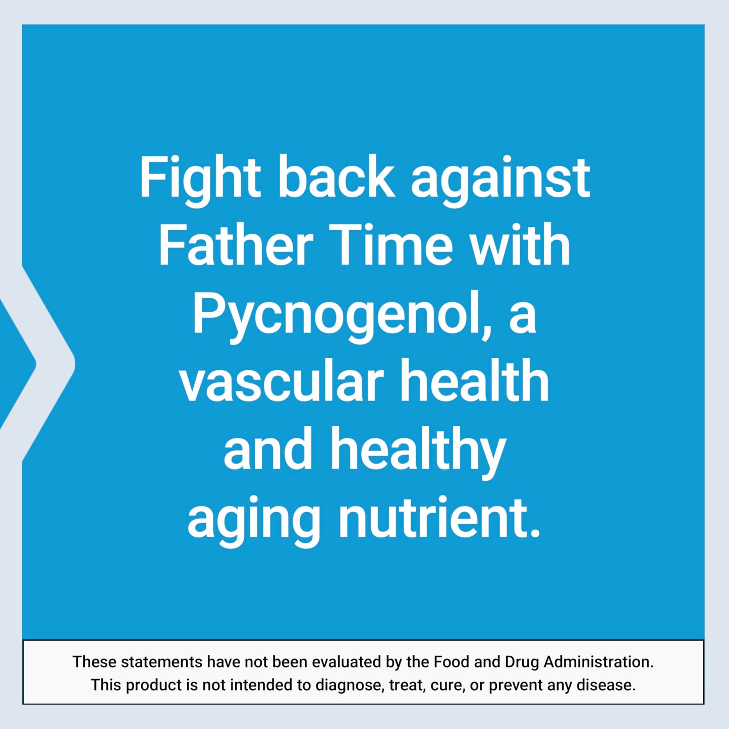 Pre-Order | Arrives in 5–10 Days – Life Extension Pycnogenol – French Maritime Pine Bark Extract – Scientifically Studied healthy aging & Vascular Health Supplement – Non-GMO, Gluten-Free, Vegetarian – 60 Capsules