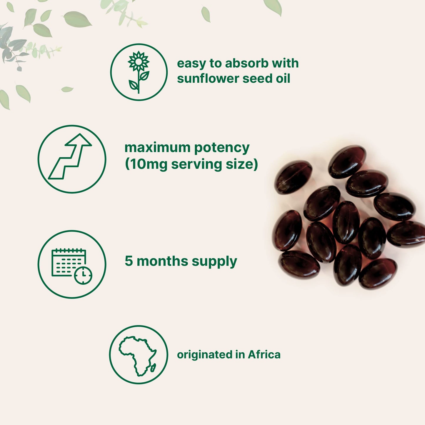 Pre-Order | Arrives in 5–10 Days – Double Strength Yohimbine Supplements for Men and Women, 10mg Per Serving, 300 Softgels, Yohimbine HCL with Virgin Sunflower Seed Oil for Better Absorption, Supports Energy Production, African Raw