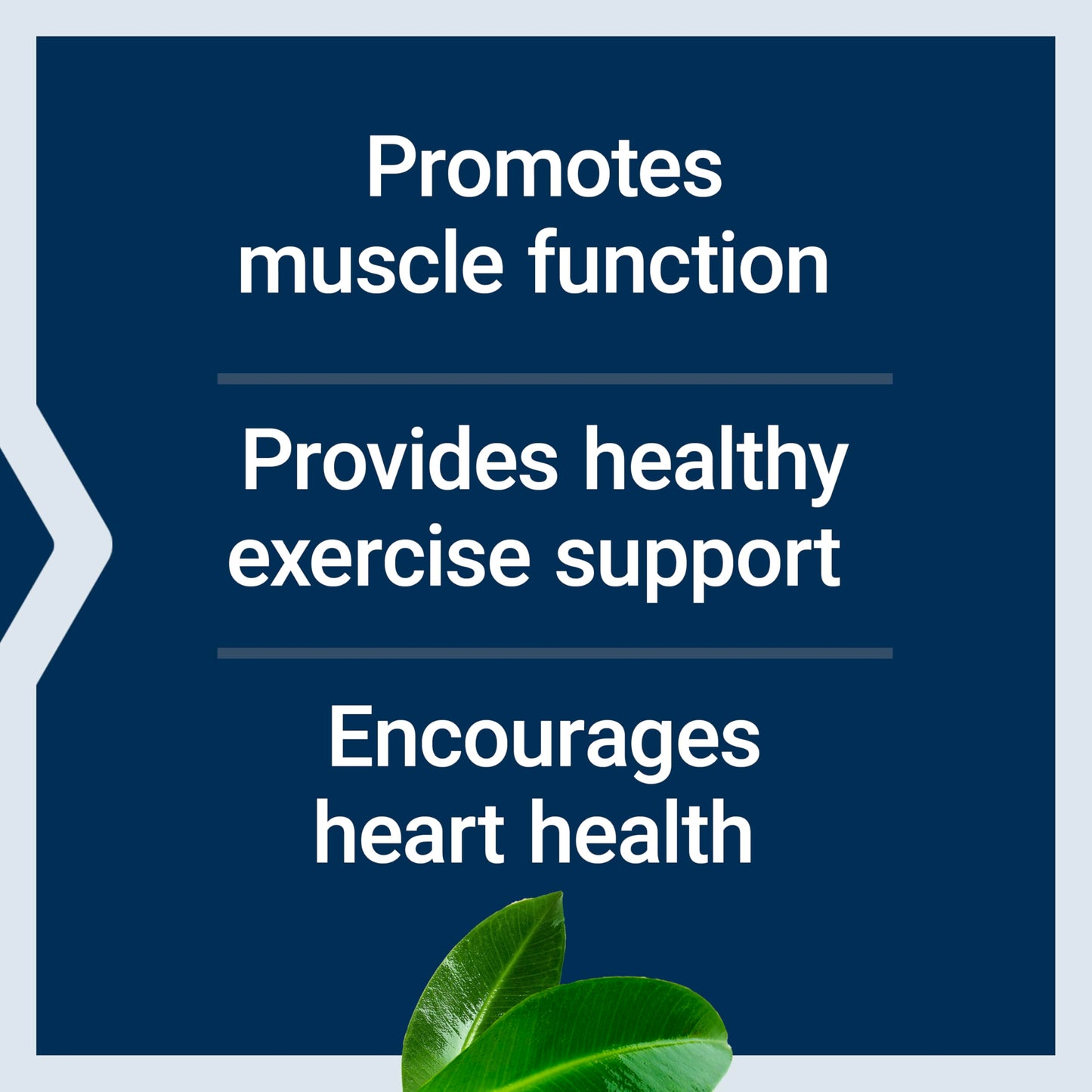 Pre-Order | Arrives in 5–10 Days – Life Extension Super Carnosine 500mg - For Muscle Recovery - L-Carnosine Supplement with Benfotiamine, Vitamin B1, Luteolin For Healthy Aging - Non-GMO, Gluten-Free - 60 Vegetarian Capsules