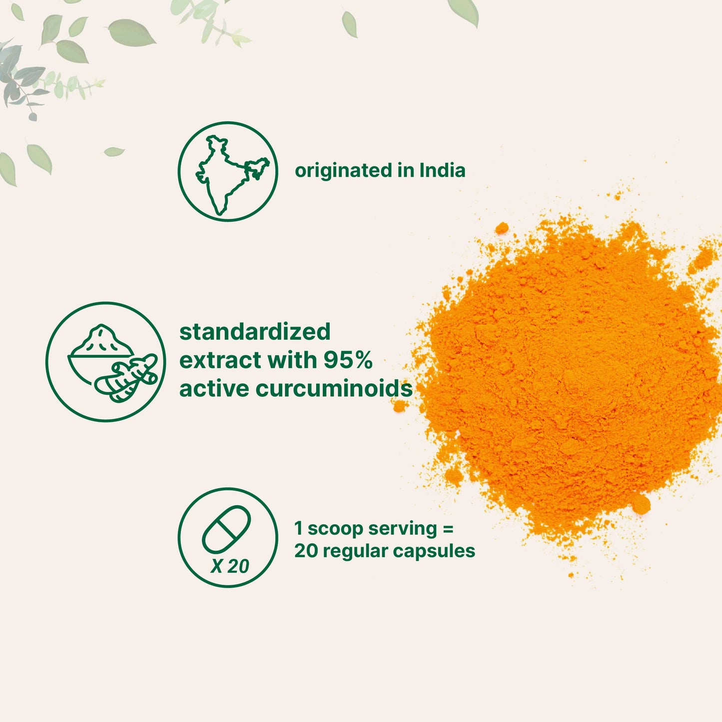 Pre-Order | Arrives in 5–10 Days – Turmeric Extract 95% Curcuminoids (Natural Turmeric Extract and Turmeric Supplements), 100 Grams, Rich in Antioxidants for Joint & Immune Support, No GMOs, Vegan Friendly, India Origin