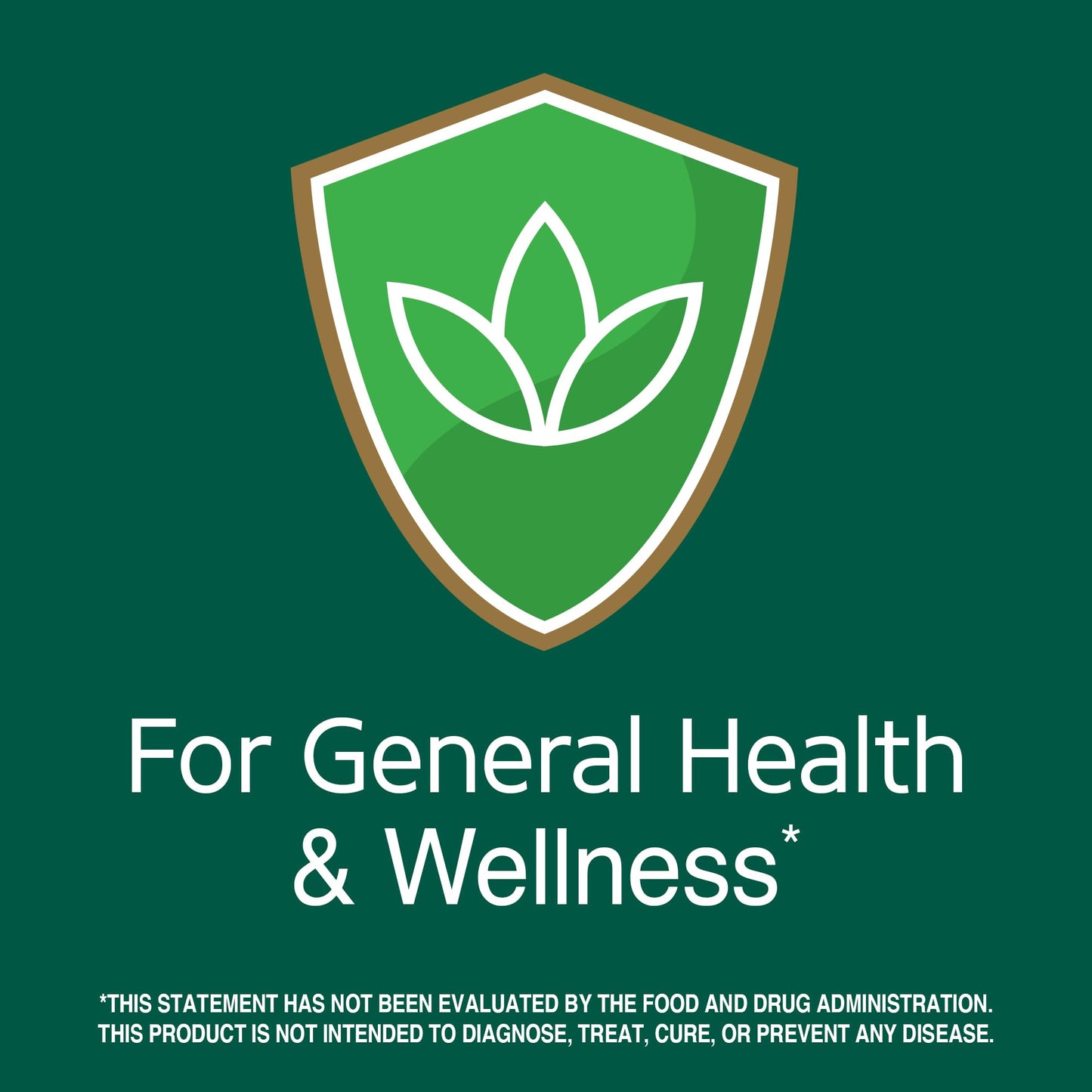 Pre-Order | Arrives in 5–10 Days – 21st Century Lion's Mane 2,100 mg, Plus Black Pepper Extract, Vegetarian Capsules, 60 Count