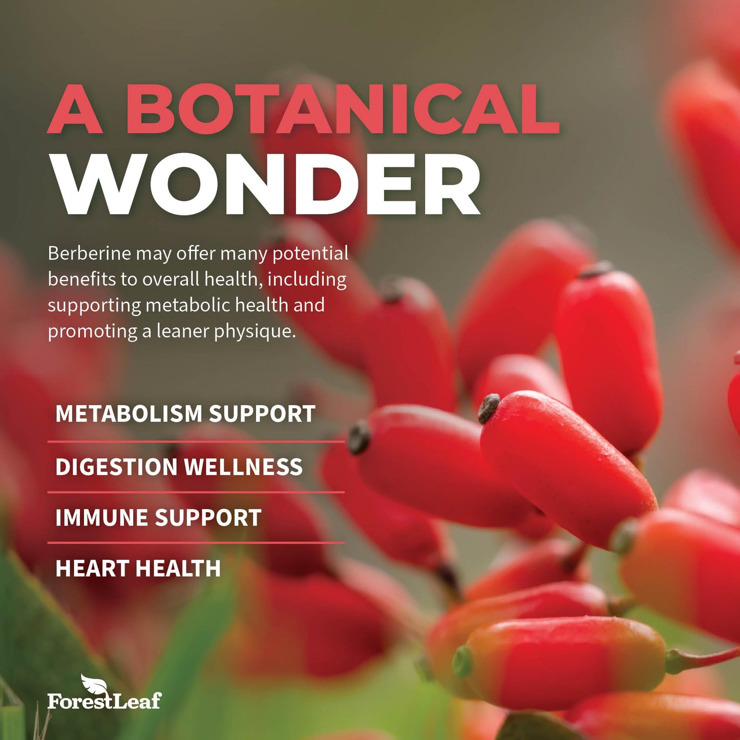 Pre-Order | Arrives in 5–10 Days – Berberine Supplement 1300mg per Serving- 97% Tested Ultra High Potency Berberine HCl with Ceylon Cinnamon, Bitter Melon & Gymnema, 10:1 Extract Berberis Supplements, Weight Management, 90 Veggie Caps