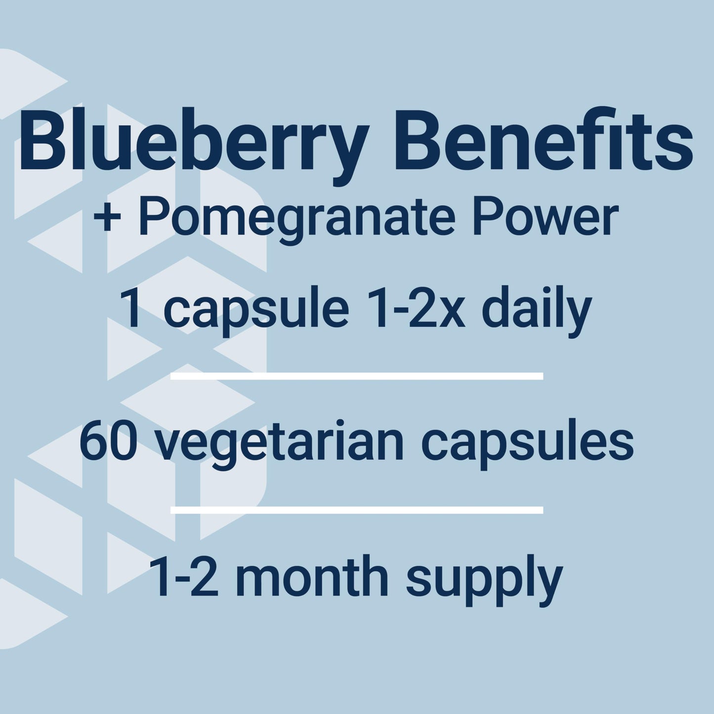 Pre-Order | Arrives in 5–10 Days – Life Extension Blueberry Extract and Pomegranate, arterial Health Support, antioxidant Defense, Gluten-Free, Non-GMO, Vegetarian, 60 Vegetarian Capsules