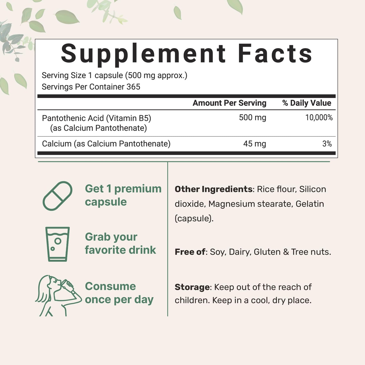 Pre-Order | Arrives in 5–10 Days – Micro Ingredients Pantothenic Acid Vitamin B5 Supplement, Vitamin B5 500mg Per Count, 365 Capsules (1 Year Supply), B-Complex Vitamin, Support Energy Production and Nervous System, Non-GMO