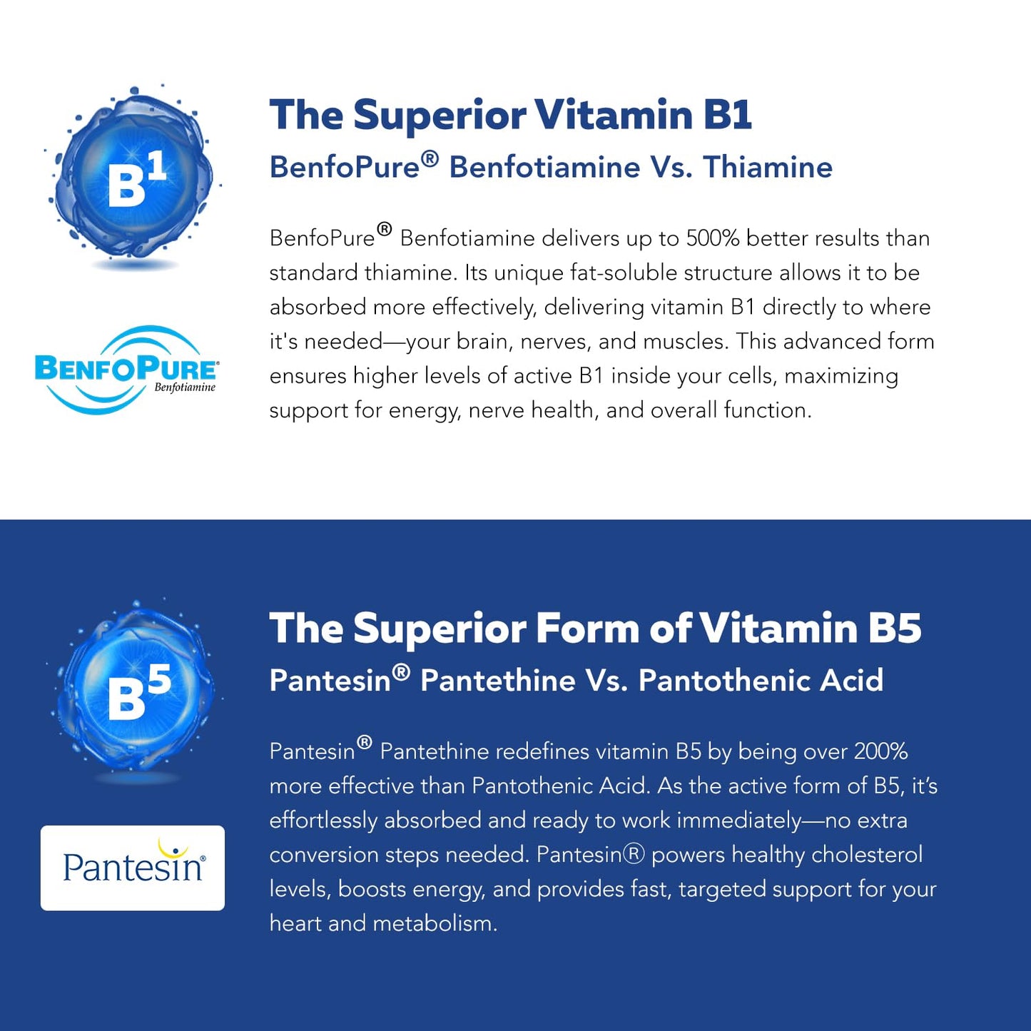 Pre-Order | Arrives in 5–10 Days –
BioActive Vitamin B Complex - Blood Stream Ready, Methylated B Complex - Featuring Methylfolate, 3 BioActive Forms of B12, BenfoPure® B1 & Pantesin® B5 - 12 B Vitamins in Clinical Doses - 60 Servings