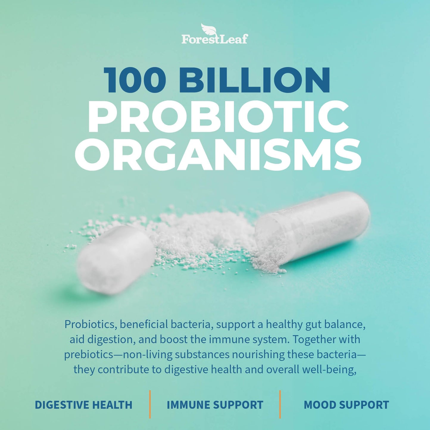 Pre-Order | Arrives in 5–10 Days – Probiotics for Men and Women, 100 Billion CFU, 26 Unique Strains, Men's and Women's Probiotic and Prebiotics Support Digestive Health, Gut Wellness, Energy, Mood, Immune, PH Balance (30 Caps)