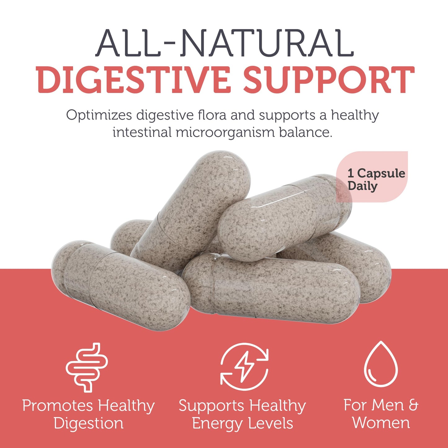 Pre-Order | Arrives in 5–10 Days – Zahler - ParaGuard Capsules - Gut Health Supplement - Formula has Wormwood, Garlic Bulb, Pumpkin Seed, Clove & More - Natural Support for Humans - Certified Kosher 30 Count