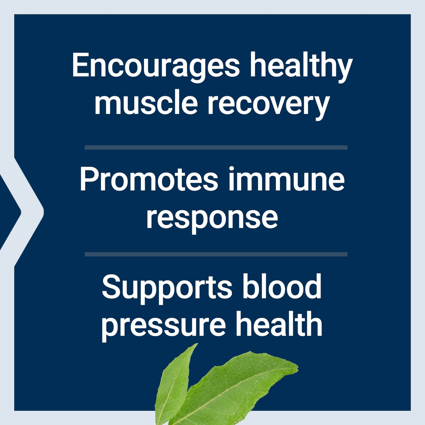 Pre-Order | Arrives in 5–10 Days – Life Extension Arginine Ornithine Powder, Promotes Muscle Health & Recovery, Gluten Free, Non-GMO, net Weight 150 Grams