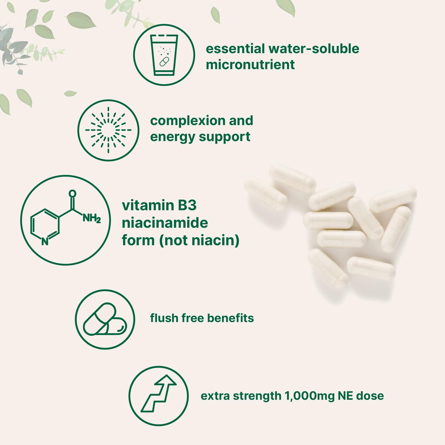 Pre-Order | Arrives in 5–10 Days – Vitamin B3 Niacinamide 500mg Per Capsule, 400 Capsules | 1,000mg Flush Free Niacin Per Serving, Essential B Vitamin Supplement | Skin Care Health & Energy Support | Non-GMO, Gluten Free