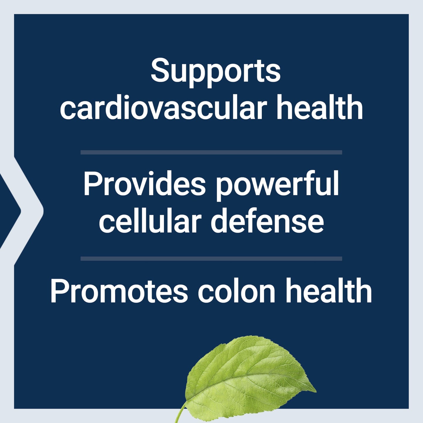 Pre-Order | Arrives in 5–10 Days – Life Extension AppleWise, Apple polyphenol Extract for Heart, Cellular and Colon Health, Gluten Free, Non-GMO, Vegetarian, 30 Capsules