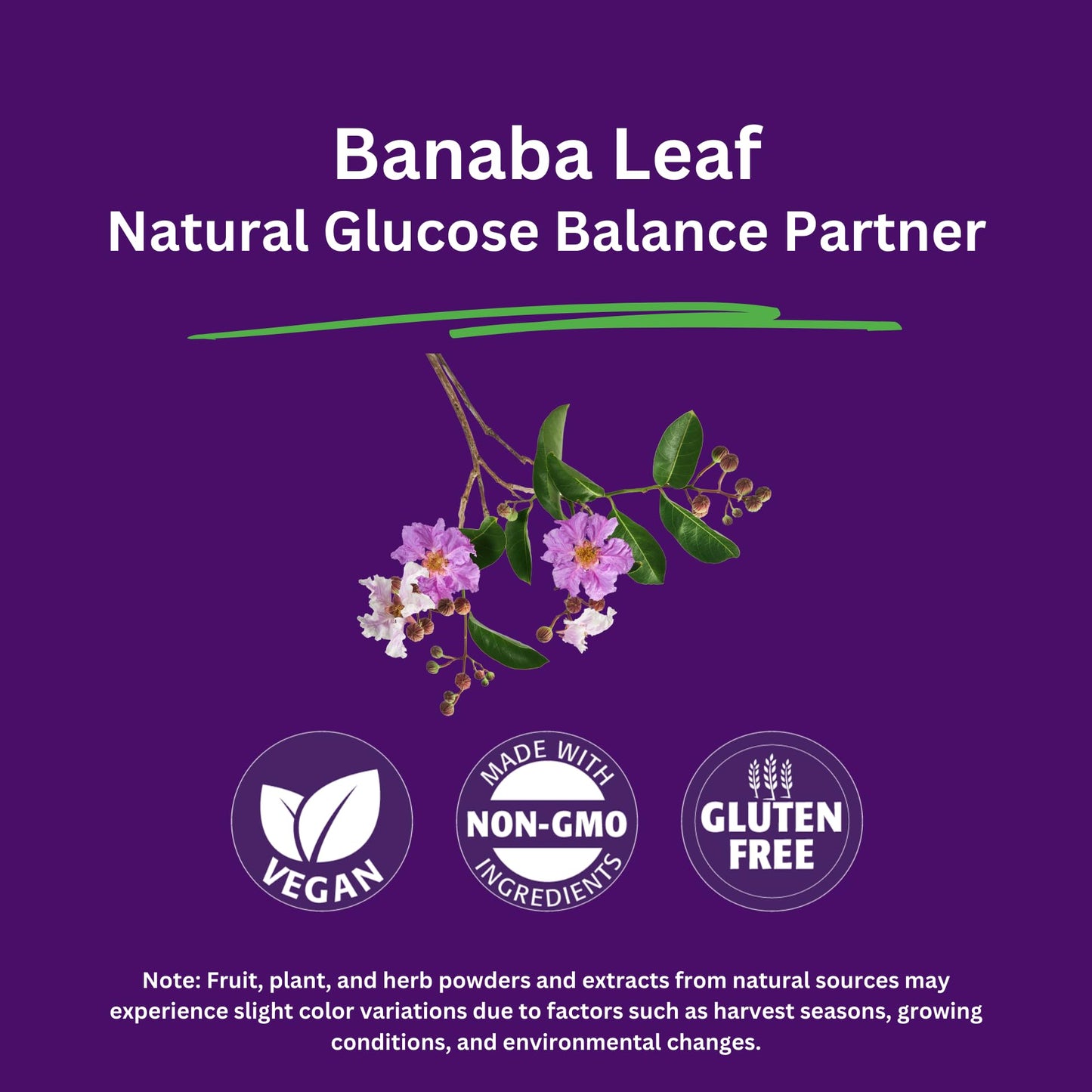 Pre-Order | Arrives in 5–10 Days – Paradise Herbs, Banaba Leaf, 12:1 Concentrated Extract, 250 mg, Vegan, Gluten-Free, Non-GMO, 60 Capsules