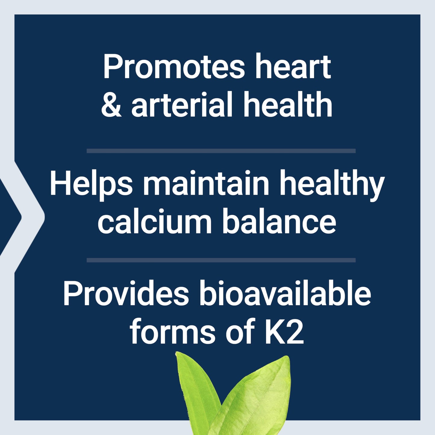 Pre-Order | Arrives in 5–10 Days – Life Extension Super K, vitamin K1, vitamin K2 mk-7, vitamin K2 mk-4, vitamin C, bone/heart/arterial health, 3-month supply, Gluten-Free, 1 Daily, Non-GMO, 90 softgels