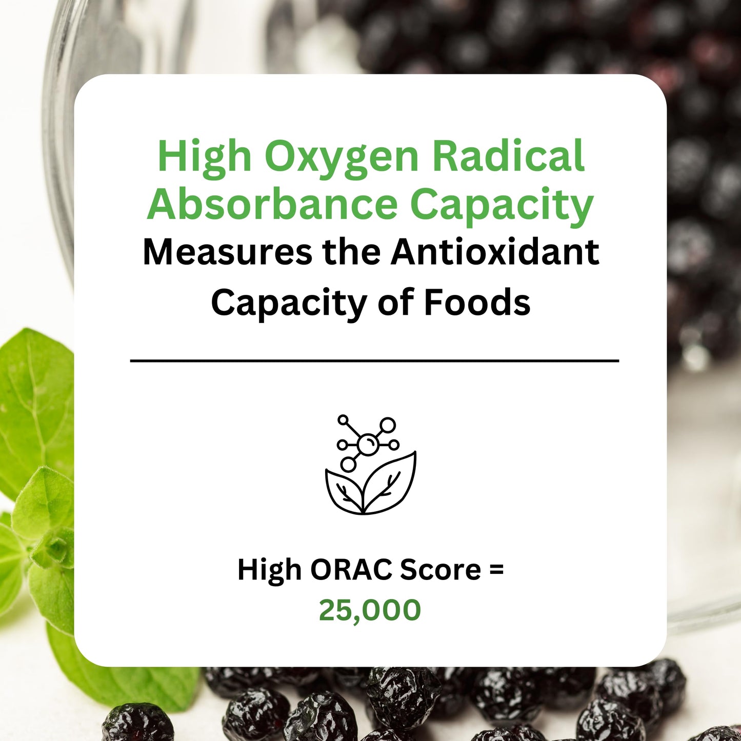 Pre-Order | Arrives in 5–10 Days – Paradise Herbs, Organic Maqui Berry Extract, 400 mg, Fresh, Freeze-Dried Concentrate for Superior Potency, Non-GMO, Vegan, 60 Capsules