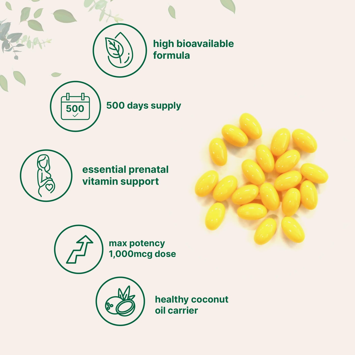 Pre-Order | Arrives in 5–10 Days – Folic Acid 1,000 mcg, 500 Coconut Oil Softgels (1mg) | Essential Prenatal Vitamins (Vitamin B9) | 1,667 mcg DFE | Third Party Tested, No Artificial Colors or Flavors | Non-GMO, Gluten Free