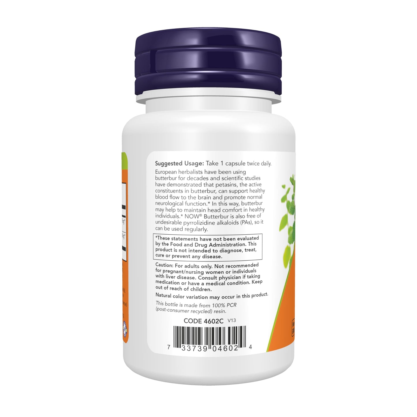 Pre-Order | Arrives in 5–10 Days – NOW Foods Butterbur, 60 Vegetable Capsule (2 Pack)