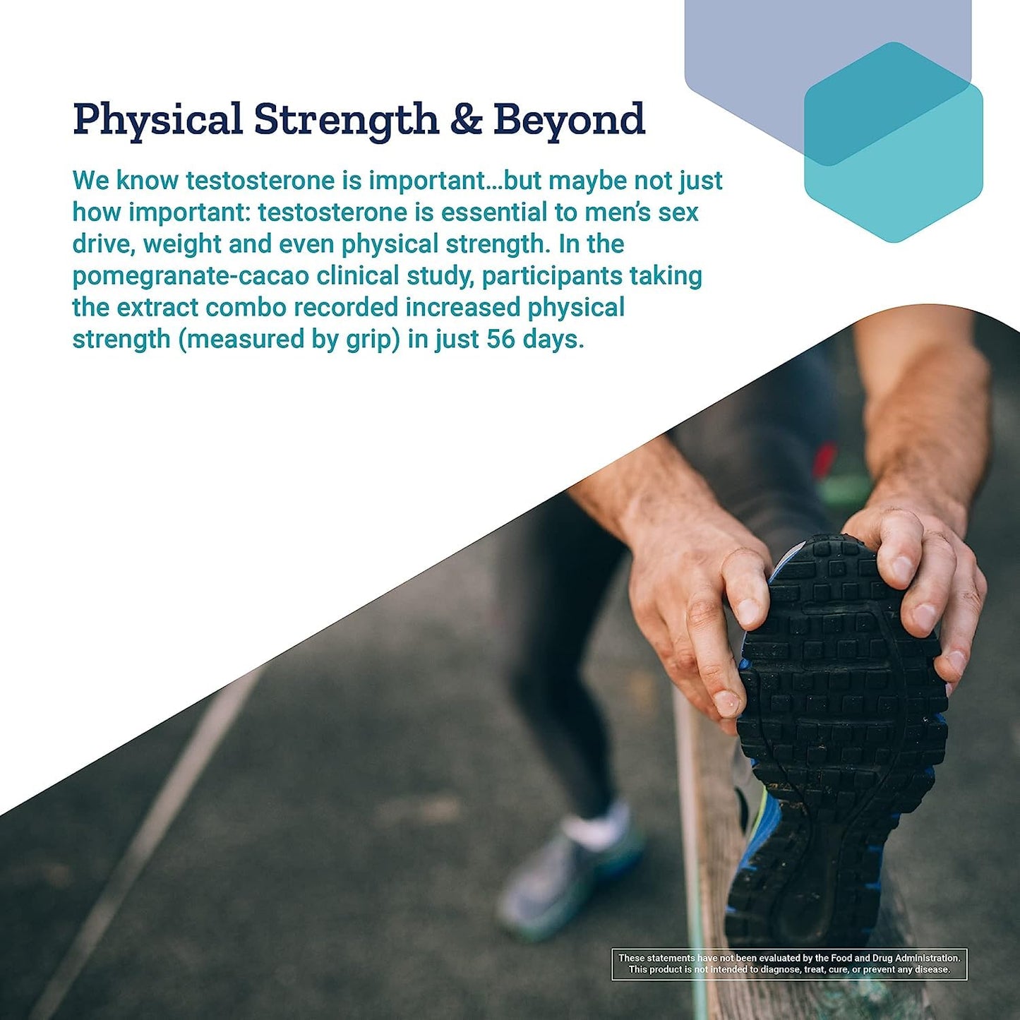 Pre-Order | Arrives in 5–10 Days – Life Extension Testosterone Elite – Testosterone Production Support Supplement for Men - with Luteolin, Pomegranate and Cacao Seed Extract – Gluten-Free, Non-GMO, Vegetarian – 30 Capsules