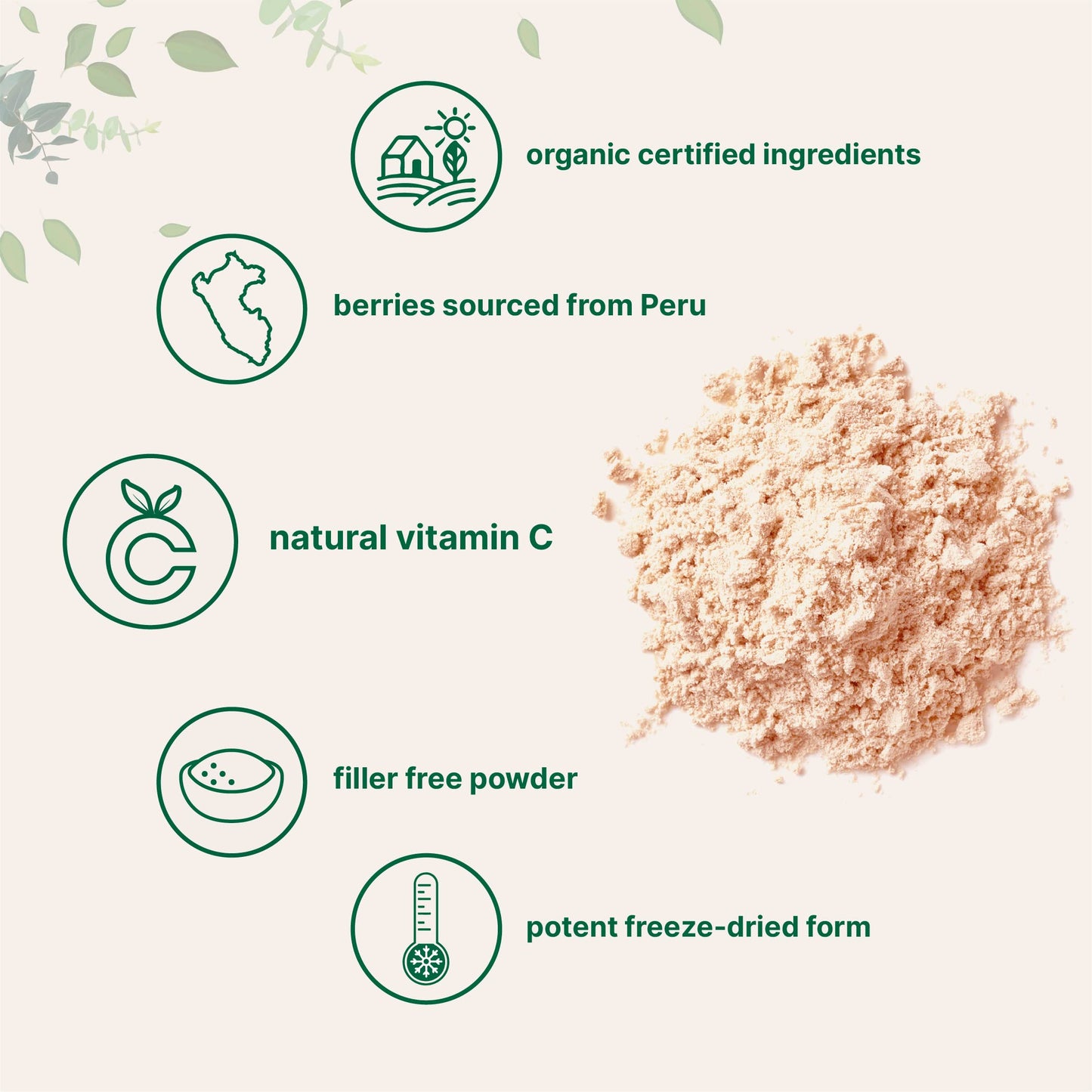 Pre-Order | Arrives in 5–10 Days – Organic Camu Camu Powder, 12 oz | High Natural Vitamin C Level | Fresh Freeze-Dried Berries Source | No GMOs, Vegan Friendly