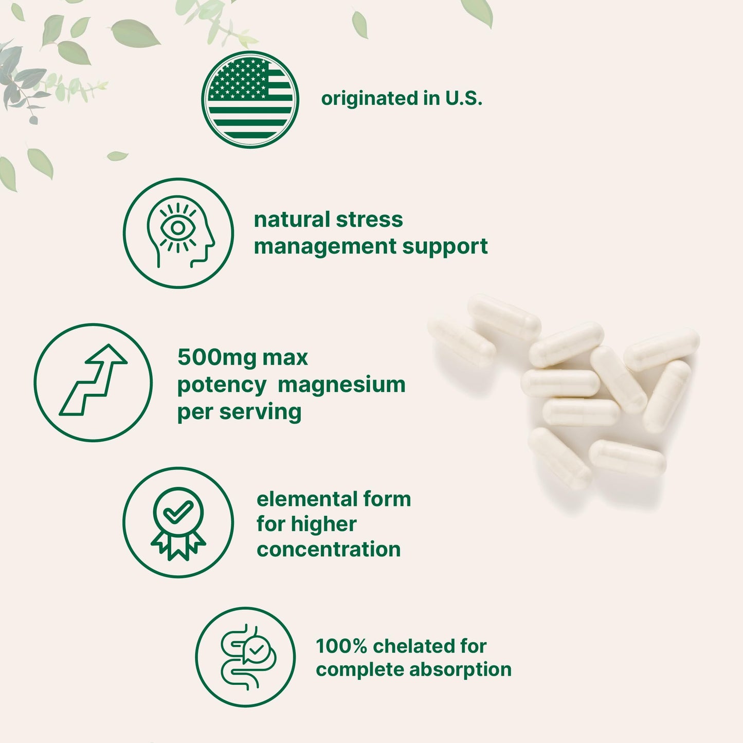 Pre-Order | Arrives in 5–10 Days – Magnesium Glycinate 500mg Per Serving, 240 Capsules | Potent Elemental Form, 100% Chelated, High Absorption | Healthy Muscle, Bones, & Mood Support Supplement | Non-GMO