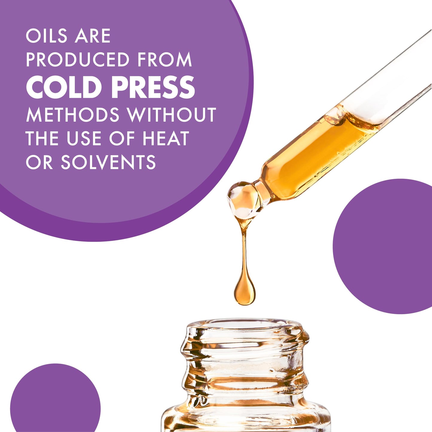 Pre-Order | Arrives in 5–10 Days – Bluebonnet Nutrition Plant Based Omega 3-6-9-1000 mg – for Heart Health* – Highly Absorbable Cold Pressed Oil – Non-GMO Project Verified, Vegan – Free of Gluten, Soy & Milk - 90 Softgels, 90 Serving