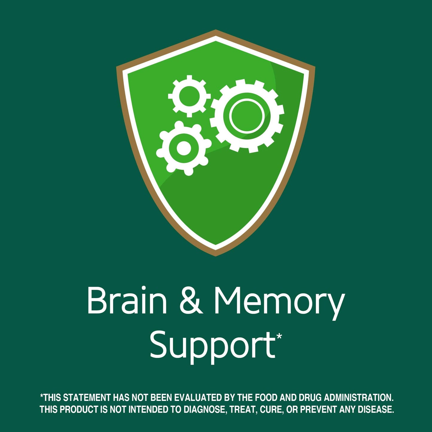 Pre-Order | Arrives in 5–10 Days – 21st Century Ginkgo Biloba Extract Veg Capsules, 60 Count