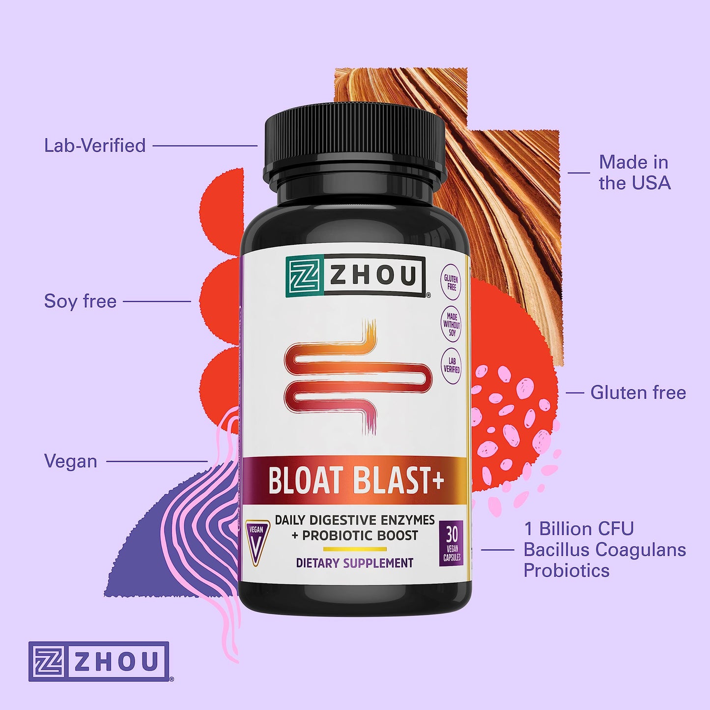 Pre-Order | Arrives in 5–10 Days – Zhou Nutrition Bloat Blast+ - Digestive Support Supplement for Women & Men, Digestive Enzymes with Probiotics for Gut Health - 30 Veggie Capsules