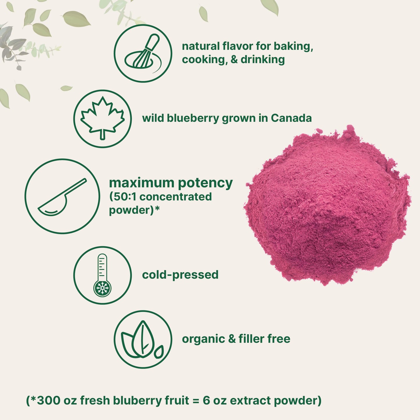 Pre-Order | Arrives in 5–10 Days – Organic Blueberry Extract Powder, 10oz | 100% Natural Fruit Powder | Freeze-Dried Wild Blueberries Source | No Sugar & Additives | Great Flavor for Drinks, Smoothie, & Beverages | Non-GMO & Vegan