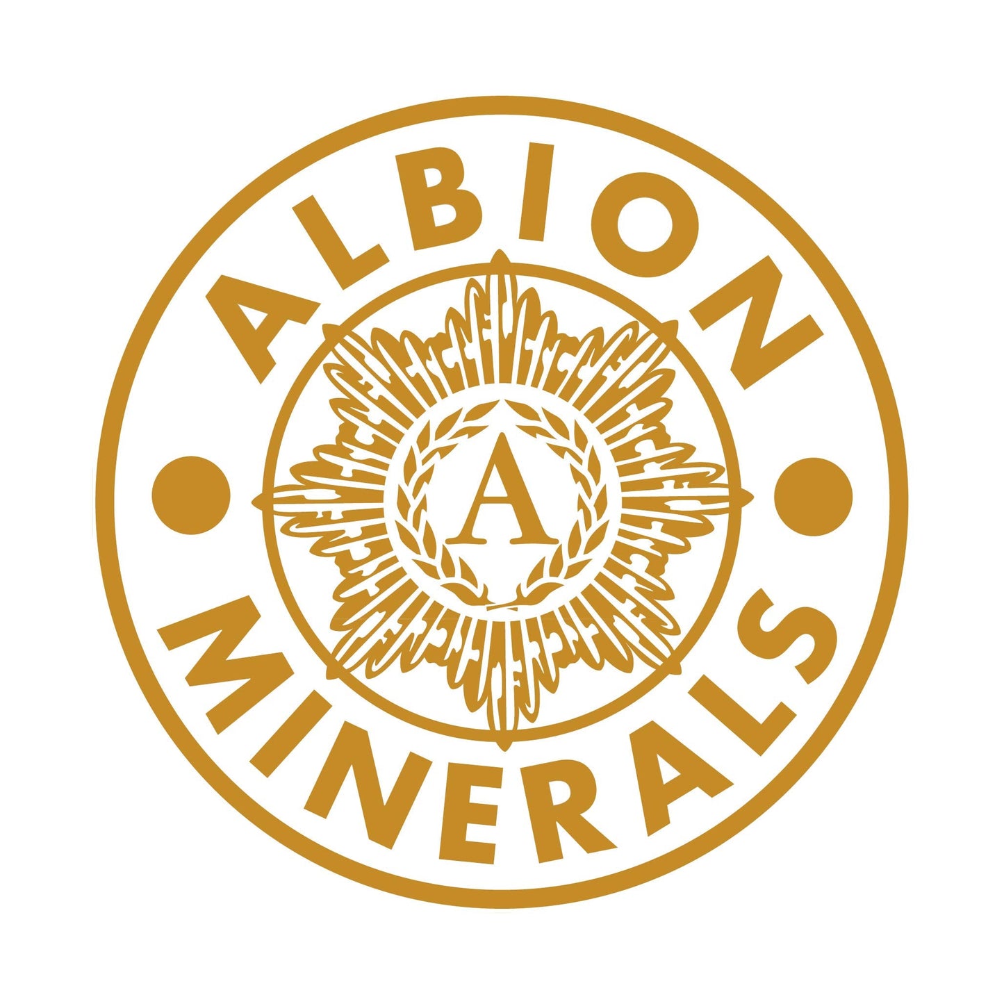 Pre-Order | Arrives in 5–10 Days – Bluebonnet Nutrition High Potency Chelated Multiminerals (Iron-Free), Albion Chelated Minerals, Soy-Free, Gluten-Free, Non-GMO, Kosher Certified, Dairy-Free, 60 Caplets, 20 Servings