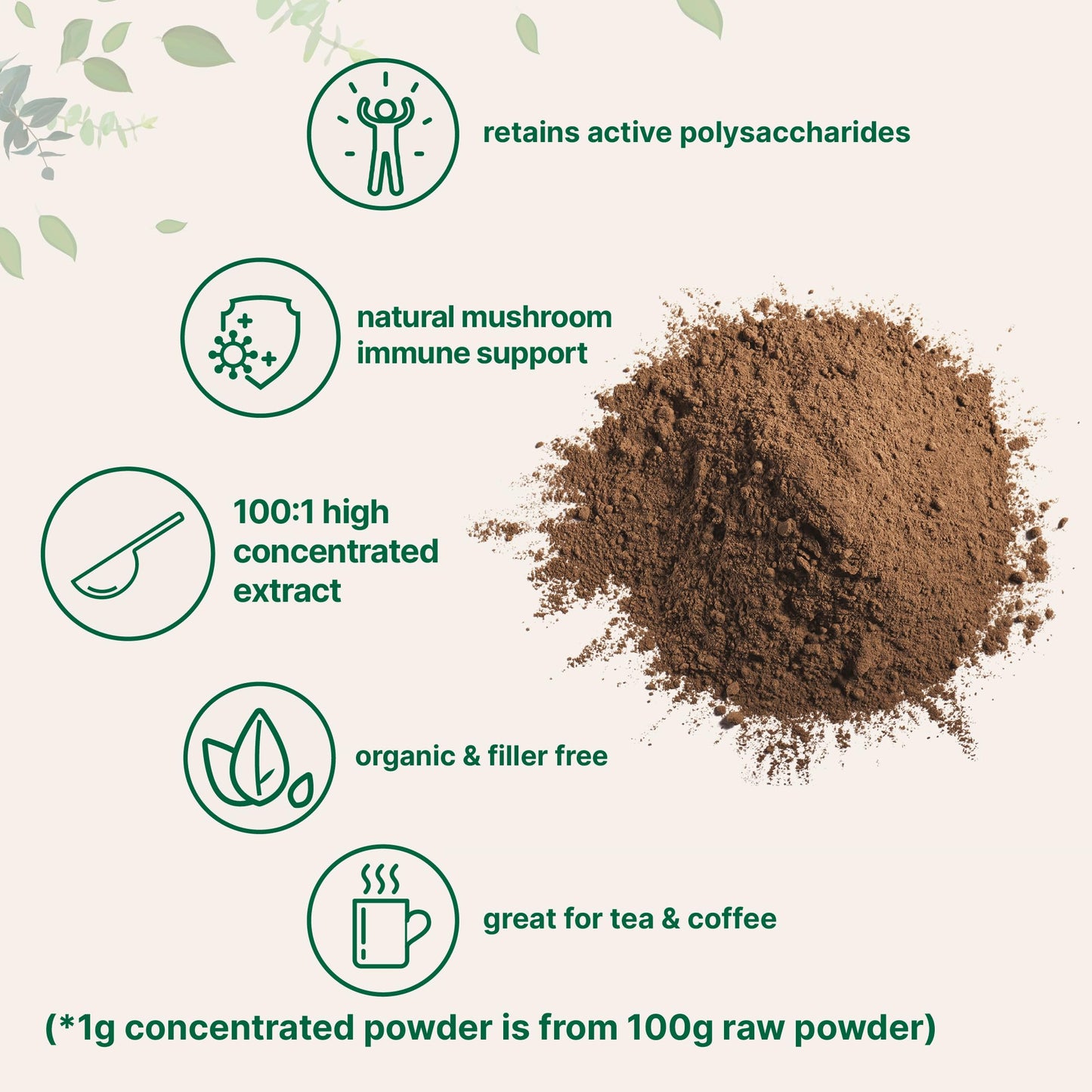 Pre-Order | Arrives in 5–10 Days – Micro Ingredients Organic Reishi Mushroom Powder, 16oz | 100:1 Extract, Red Reishi Mushrooms Supplement | Great for Mushroom Coffee or Tea | Non-GMO