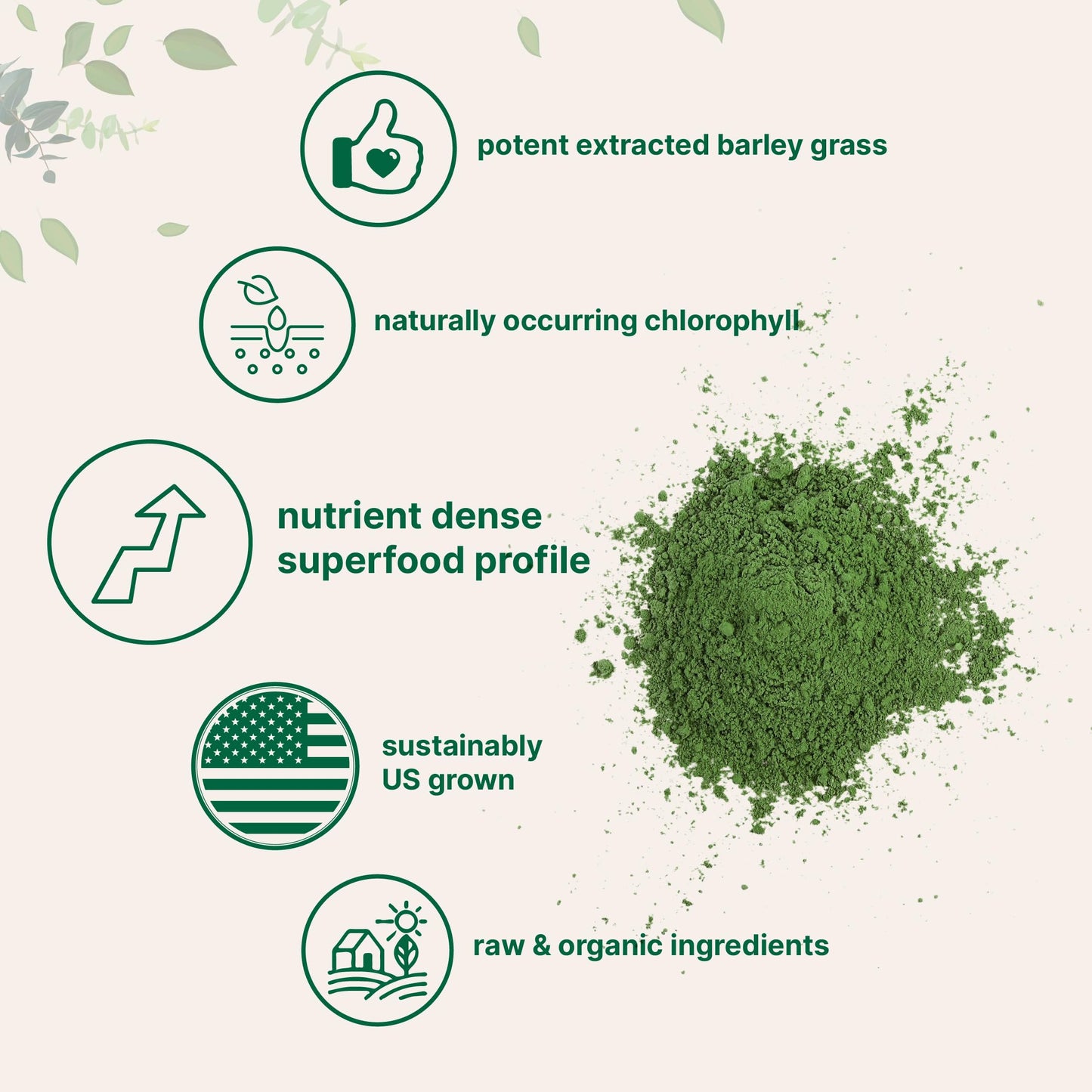 Pre-Order | Arrives in 5–10 Days – Organic Barley Grass Powder, 16 Ounces | US Grown | Rich in Vitamins, Minerals, Fibers, & Antioxidants | Superfood Greens Mix for Immune Health and Digestion Support | Non-GMO