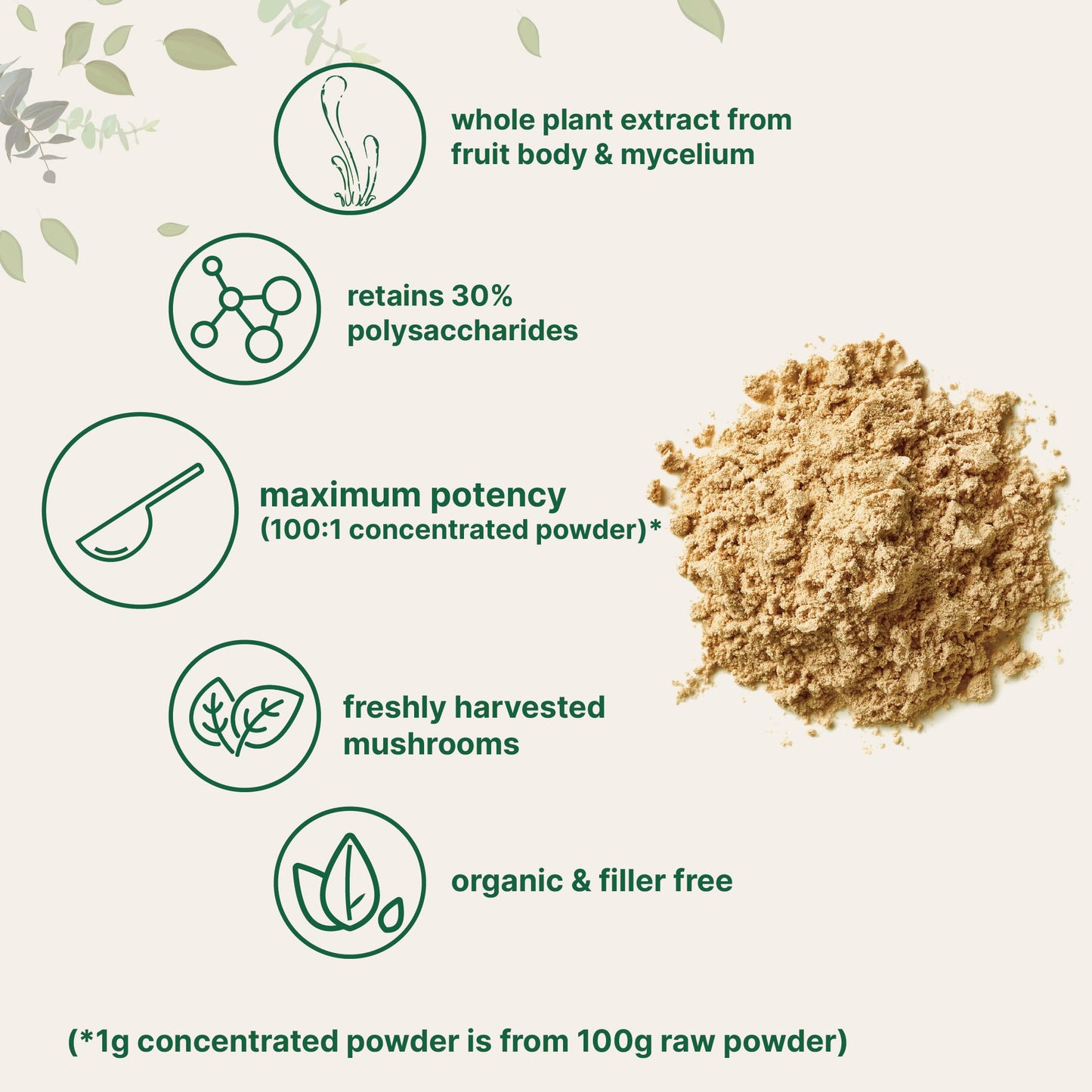 Pre-Order | Arrives in 5–10 Days – Micro Ingredients Organic Cordyceps Mushroom Extract Powder, 8 Ounces | 100:1 Fruit Body & Mycelium Extract | Active Polysaccharides & Cordycepic Acid | Supports Energy & Immune Health