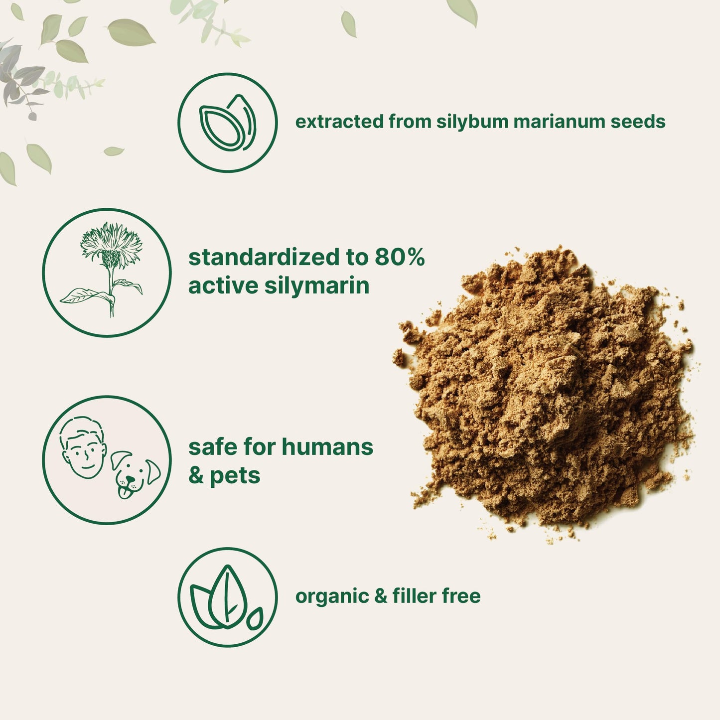Pre-Order | Arrives in 5–10 Days – Organic Milk Thistle Powder, 3.5 oz (400 Servings) | Herbal Liver Support Milk Thistle Supplement | Liver Detox & Antioxidant Support | Contains Active Silymarin | Non-GMO, Vegan Friendly
