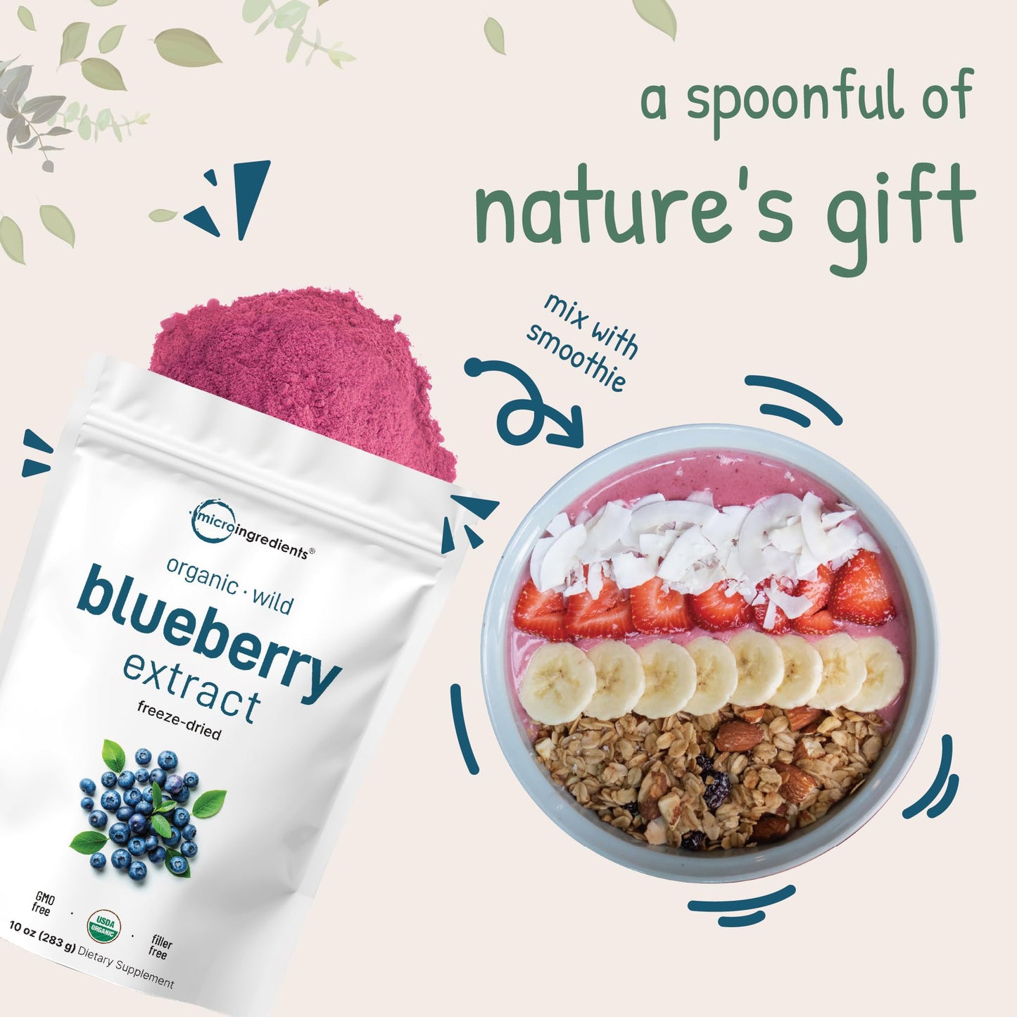 Pre-Order | Arrives in 5–10 Days – Organic Blueberry Extract Powder, 10oz | 100% Natural Fruit Powder | Freeze-Dried Wild Blueberries Source | No Sugar & Additives | Great Flavor for Drinks, Smoothie, & Beverages | Non-GMO & Vegan