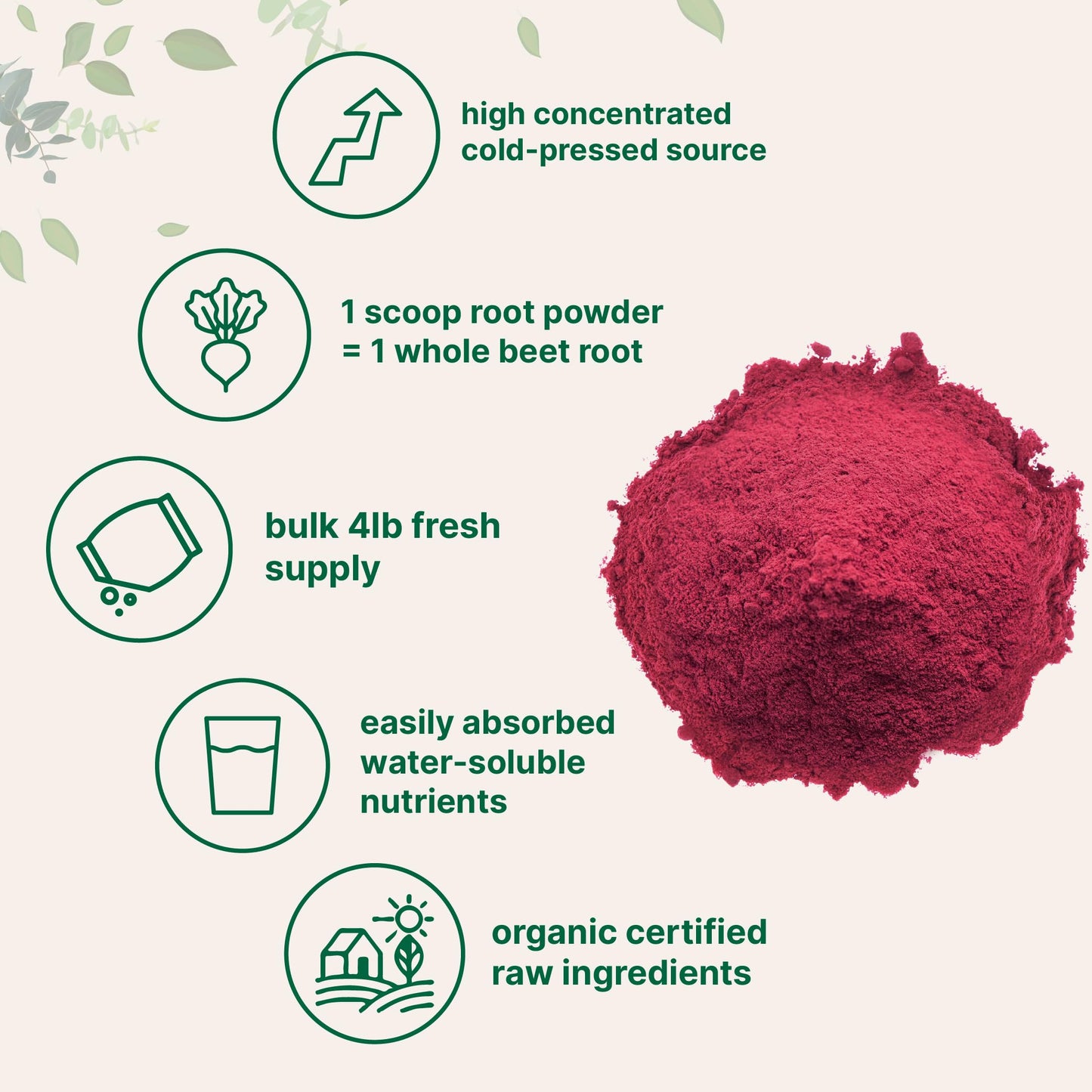 Pre-Order | Arrives in 5–10 Days – Organic Beet Root Powder, 4 Pounds | Cold Pressed, Water Soluble, High Concentrated Raw Beet Supplement | Superfood Drink Mix | Non-GMO, Vegan Friendly, Plant Based
