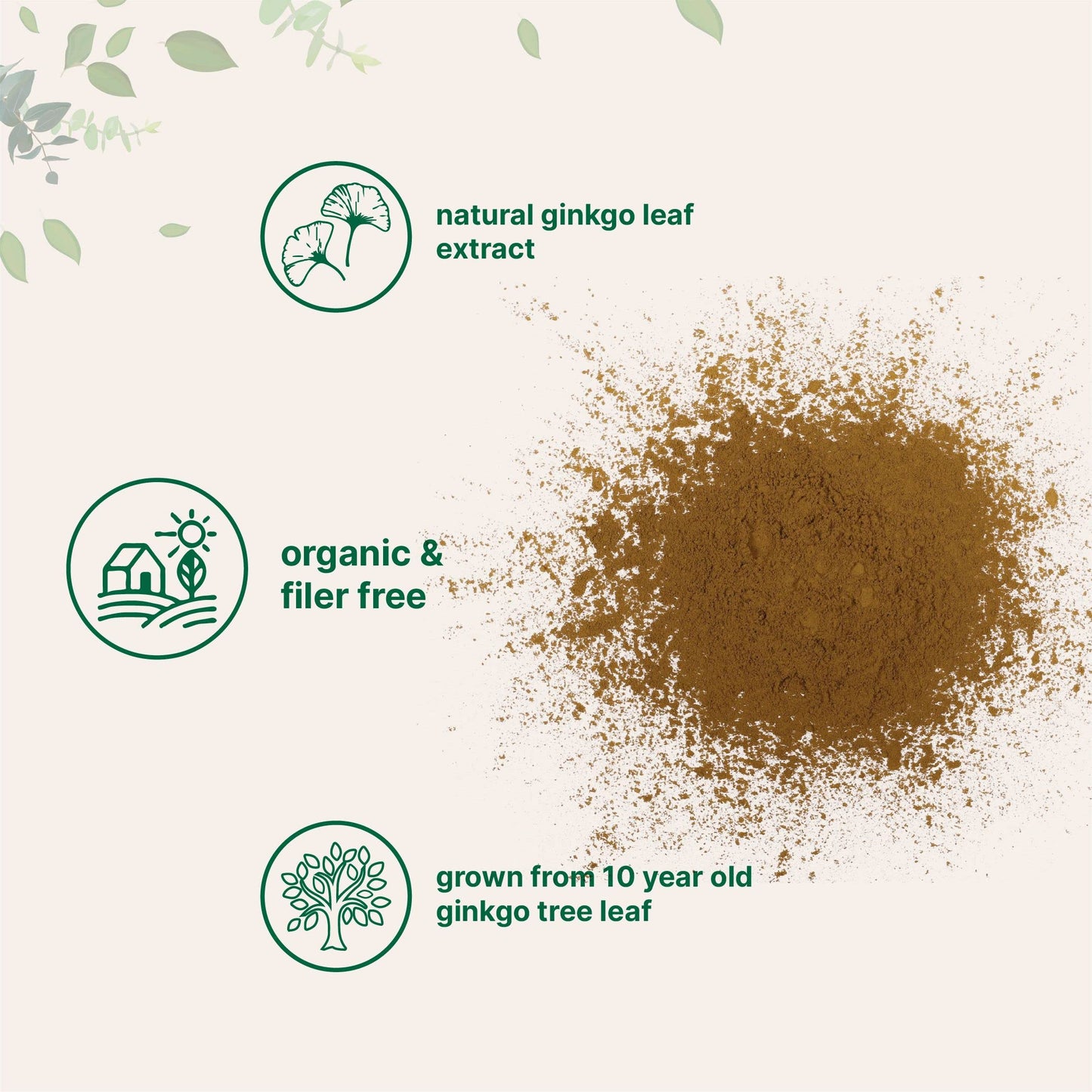 Pre-Order | Arrives in 5–10 Days – Micro Ingredients Raw Organic Ginkgo Biloba Powder, 8 Ounce (18 Months Supply), Filler Free, Supports Brain Function and Mental Alertness, No GMOs and Vegan Friendly